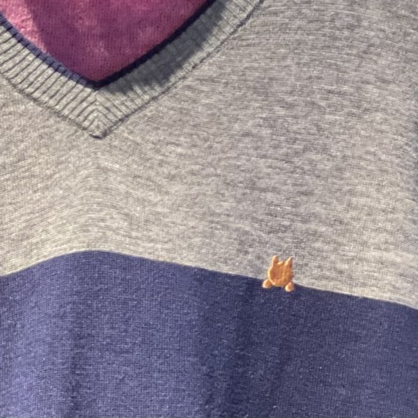 画像9: 猫刺繍　2WAY ベスト (9)