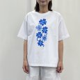 画像1: クローバー　プリント　Ｔシャツ (1)
